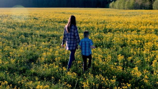 Mom-and-son-walk-on-the-field-of-yellow-flowers.-Back-view.