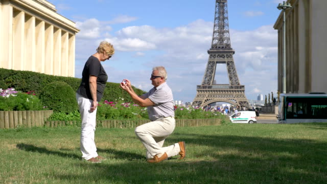 Proposal-of-marriage-in-front-of-Eiffel-tower-in-4k-slow-motion-60fps
