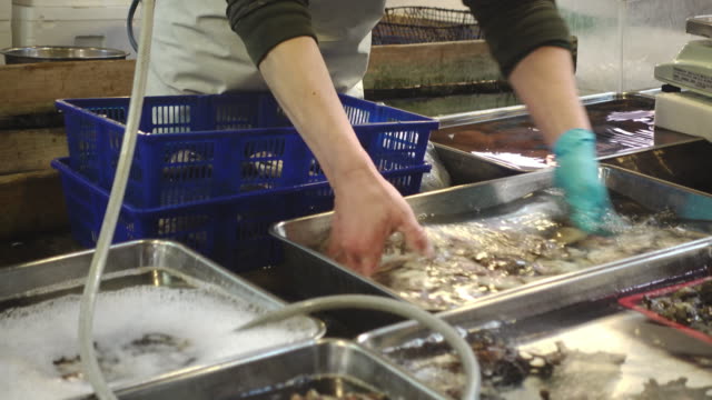 Almejas-en-movimiento-en-un-mercado-de-pescado-japonés