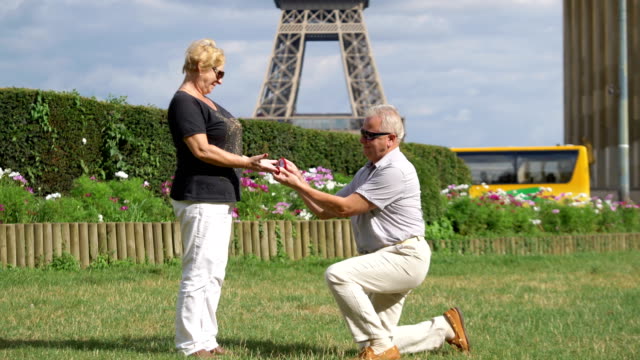 Proposal-of-marriage-in-front-of-Eiffel-tower-in-4k-slow-motion-60fps