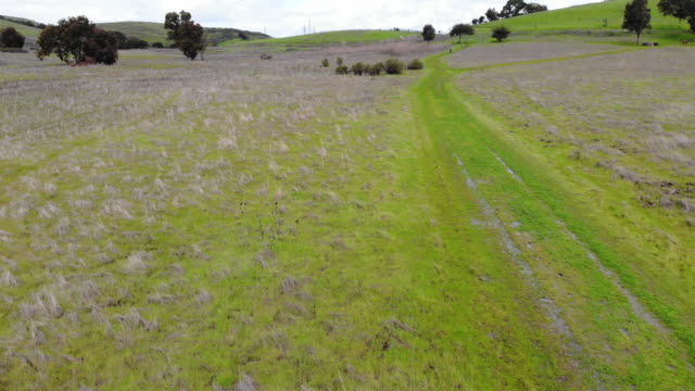 STP19_Quickly-avanzando-lentamente-inclinándose-hacia-arriba-revelando-campo-de-hierba-y-colinas-durante-un-día-despejado-siguiendo-un-camino-fangoso.