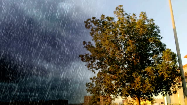 Transparente-día-y-árbol-en-el-sur-de-jeddah-y-Lluvia-fuerte