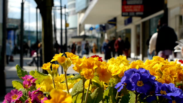 Einkaufszentrum-mit-Frühling-Blumen.
