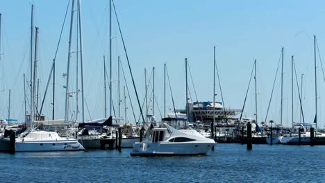 Yacht-passing-by-boats-docked-in-sunny-Tampa-Bay