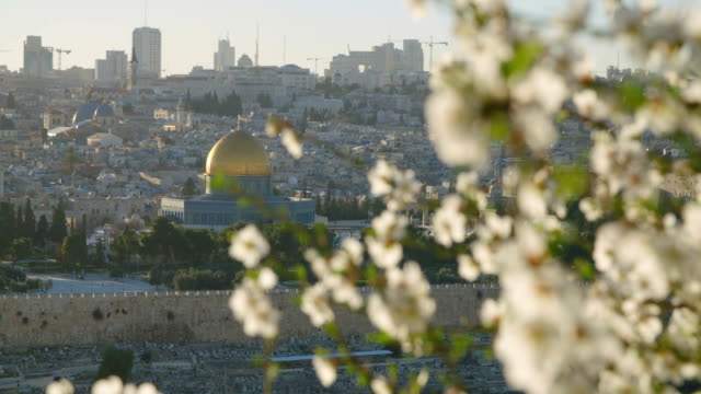 El-Monte-del-templo-en-la-ciudad-vieja-de-Jerusalén-con-flores-en-primer-plano