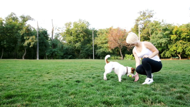 Young-woman-training-little-cute-jack-russel-terrier-in-park,-slow-motion