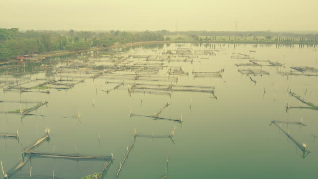 Rowo-Apung-Floating-Ort-Jombor-Klaten-Angeln-Teich-Luftbild-bei-Sonnenaufgang,-Yogyakarta,-Indonesien