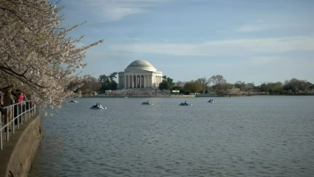 paddle-boats-on-the-tidal-basin-with-jefferson-memorial
