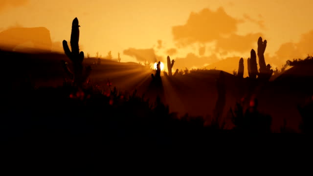 Saguaro-Cactus-in-Desert-against-beautiful-morning-Sunrise,-zoom-out