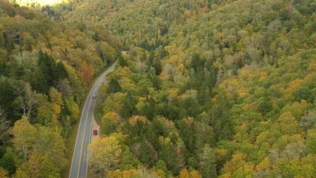 Vista-aérea-del-abejón-de-coche-conduciendo-en-otoño-/-otoño-hoja-follaje-en-una-carretera-de-alta-montaña.--Colores-amarillo,-naranjas-y-rojos-vibrante-en-Asheville,-Carolina-del-norte-en-las-montañas-Blue-ridge.