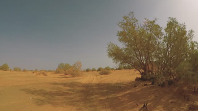 Kamerawagen-in-die-Sahara-Wüste-Fahrer-pov