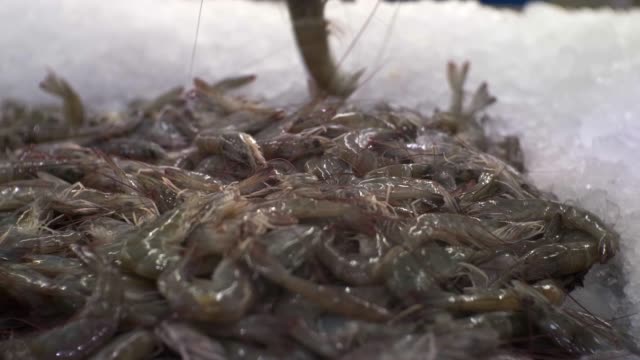 Fresh-shrimp-at-Traditional-Fish-Market.-Showcase-with-shrimp.-Seafood-on-the-counter-of-the-supermarket