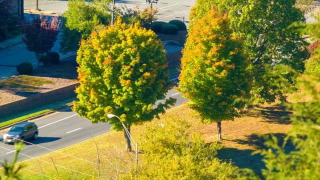Vehicles-Passing-Autumn-Colored-Trees-in-Downtown-Asheville,-NC