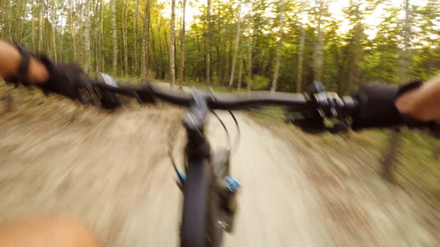 Ciclismo-de-montaña-en-el-bosque-de-verano-en-rastro-de-la-bici,-vista-en-primera-persona