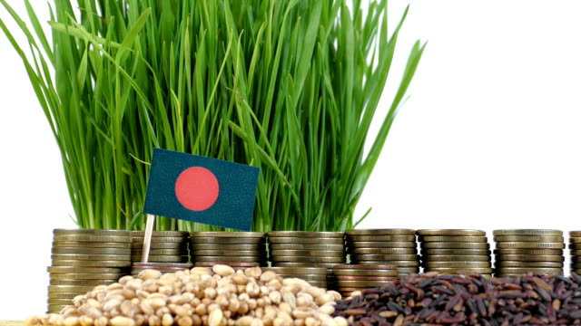 Bandera-de-Bangladesh-ondeando-con-pila-de-dinero-monedas-y-pilas-de-trigo