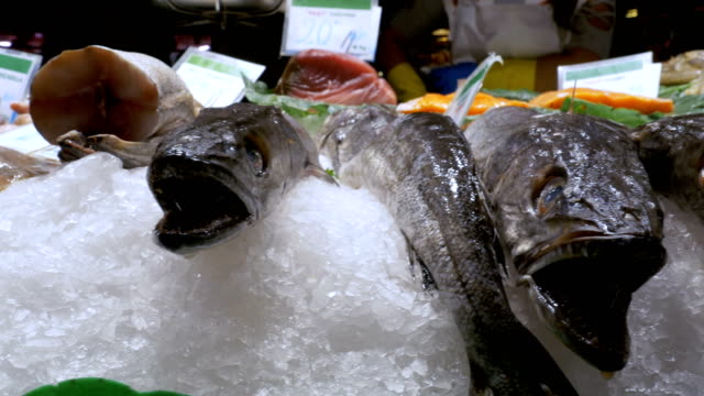 Frische-Raubfische-mit-einer-offenen-Mund-liegt-im-Eis-auf-dem-Tresen-der-eine-Fisch-Shop