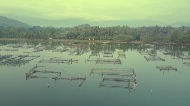 Rowo-Apung-Floating-Ort-Jombor-Klaten-Angeln-Teich-Luftbild-bei-Sonnenaufgang,-Yogyakarta,-Indonesien