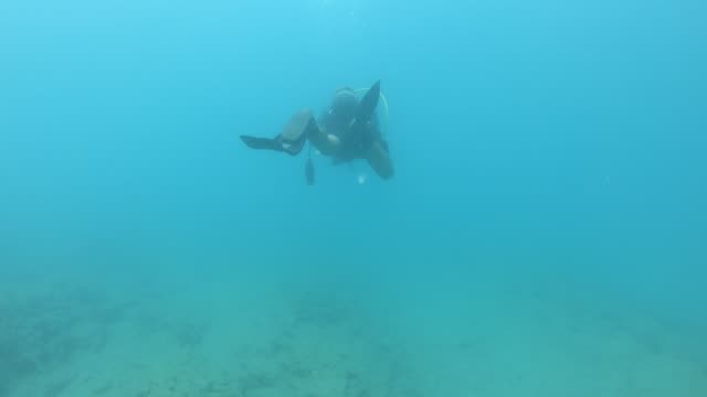 Taucher-schwimmt-unter-Meer