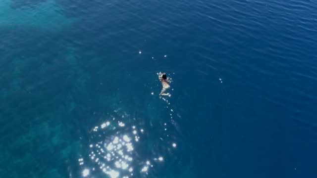 Luftaufnahmen-von-einem-Mädchen-schwimmen-im-blauen-Meer