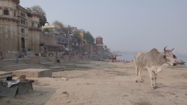 Varanasi,-on-banks-of-Ganga,-is-the-spiritual-capital-of-India-for-Hindus