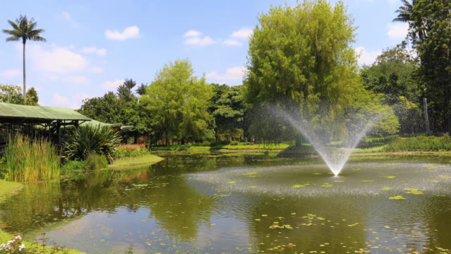 Bogota-Teich-mit-Springbrunnen-und-tropischen-Pflanzen-in-einem-öffentlichen-Garten