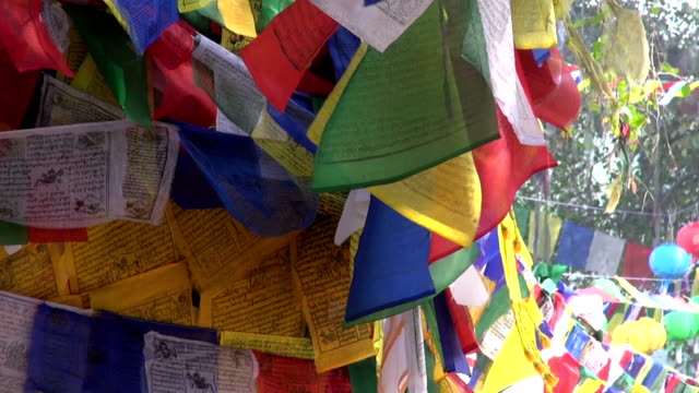 Wunderschöne-buddhistische-Beten-flags-auf-Baum-in-Lumbini,-Nepal