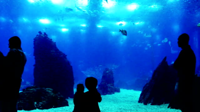 Niños-en-el-Oceanarium