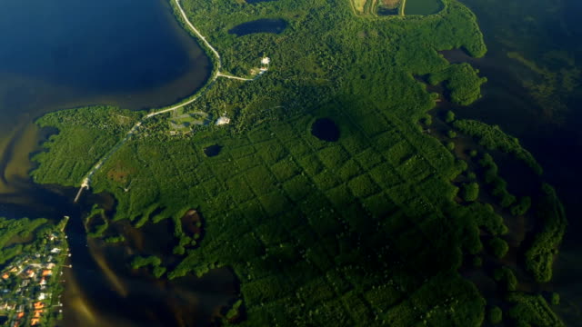Mangrove-Forest-Aerial,-Tampa-Bay