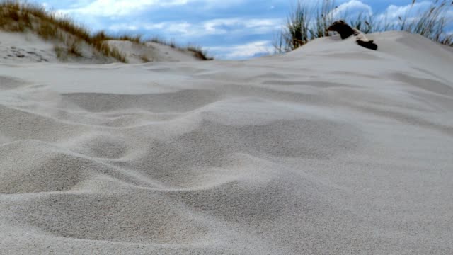 Sand-on-a-Desert-Dune-Macro