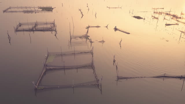 Vista-aérea-de-estanque-de-pesca-de-Rowo-Apung-flotante-lugar-Jombor-Klaten-al-amanecer,-Yogyakarta,-Indonesia