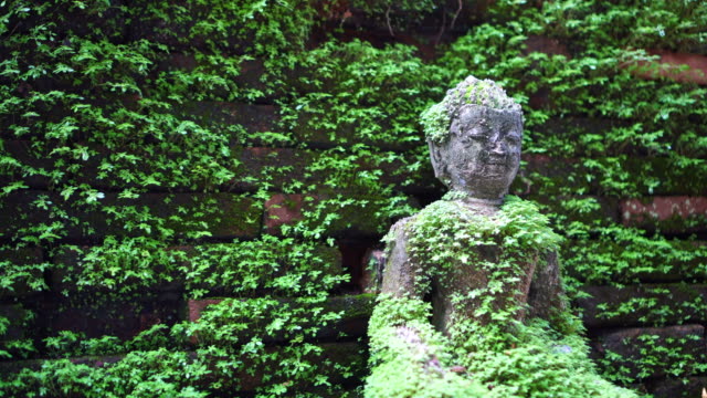 Moss-cover-buddha-statue,-calm-peaceful-religious-concept