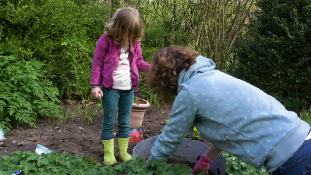 Mutter-und-Tochter-Ausgraben-der-Kartoffeln-im-Garten