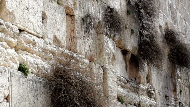 The-Western-Wall