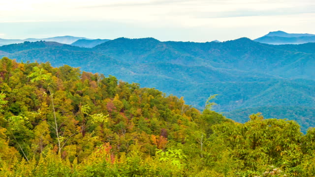 Schwenken-über-Lagen-Smoky-Mountains-mit-farbigen-Bäume-im-Herbst