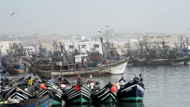 Fishing-boats-in-the-harbour-of-Agadir