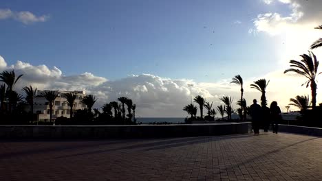 Tropical-seaside-promenade-in-the-evening