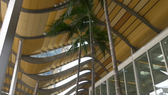 Singapur-Tag-leichte-Bürogebäude-Palm-Dächer-zu-Fuß-anzeigen