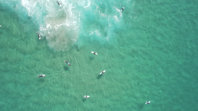 Australische-Surfer