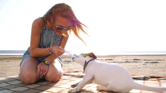 young-stylish-hipster-playing-dog-puppy-jack-russell-on-the-beach,-slow-motion
