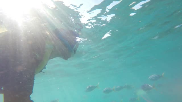 Scuba-Diver-Underwater-taking-a-selfie-in-Whitsundays,-Australia