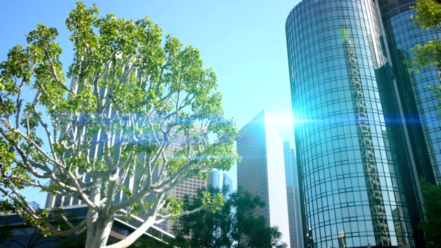 Video-of-park-in-Los-Angeles-in-4K