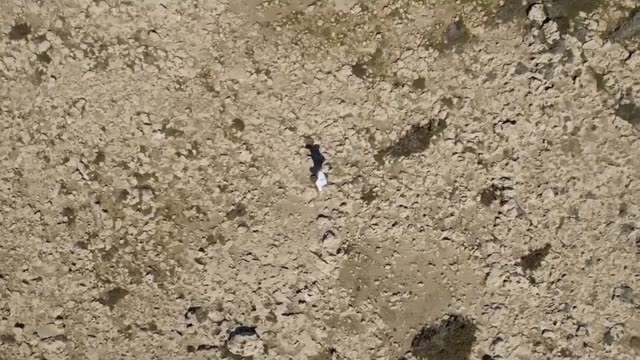 Aerial-view-footage-of-a-man-walking-forward-in-the-desert-alone.-Stock.-Extreme-sports.-Man-masters-nature.The-climber-alone-in-the-desert.-Aerial-view