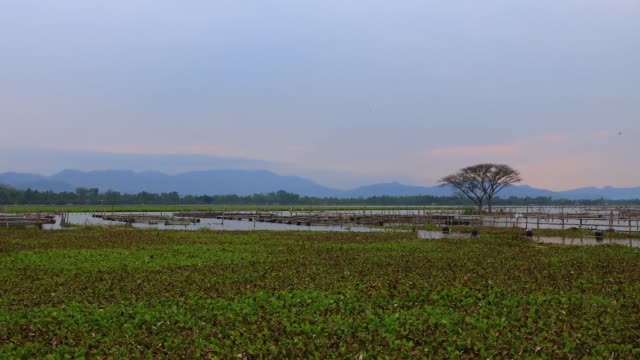 Lago-apung,-regencia-de-Klaten,-provincia-de-java-Central
