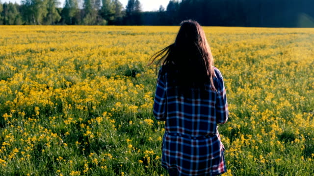Unrecognizable-woman-brunette-walks-on-the-field-of-yellow-flowers.-Back-view.