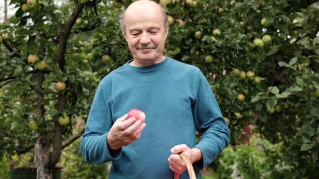 El-senior-hombre-caucásico-de-suéter-azul-disfruta-de-la-cosecha-de-manzanas-en-el-jardín