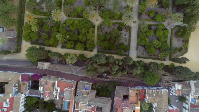 Dächer,-Gärten-und-Straßen-von-Sevilla