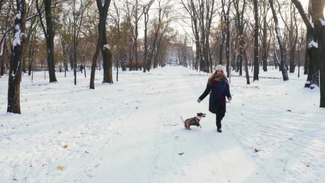 Junge-Frau-rennt-mit-Jack-Russell-Terrier-in-der-Winterzeit-durch-Park,-Luftaufnahme,-Drohne-footage