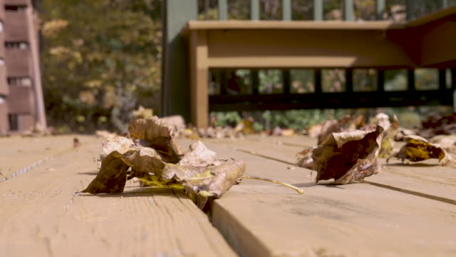 Herbstblätter-auf-einem-Holzdeck,-das-in-Richtung-Kamera-weht