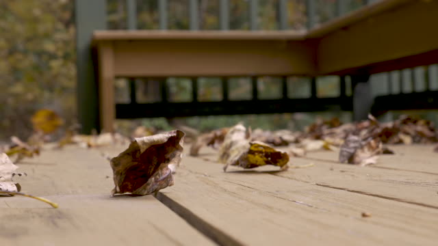 Low-angle-of-leaves-blowing-around-on-a-deck-in-the-autumn