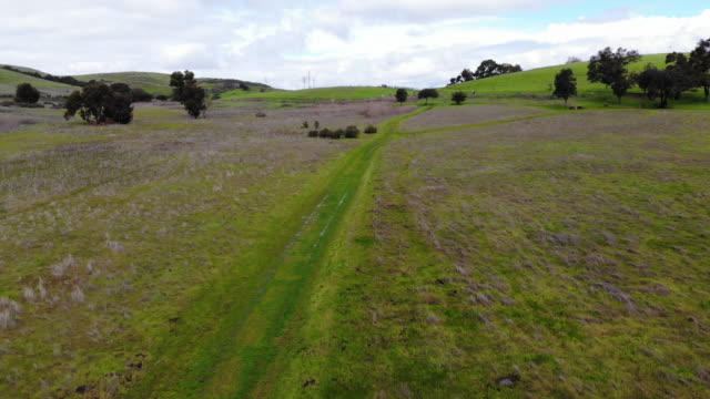 STP18_Quickly-avanzando-hacia-arriba-inclinándose-hacia-arriba-revelando-campo-de-hierba-y-colinas-durante-un-día-despejado.